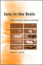 Ions in the Brain: Normal Function, Seizures, and Stroke