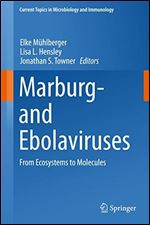 Marburg- and Ebolaviruses: From Ecosystems to Molecules (Current Topics in Microbiology and Immunology)
