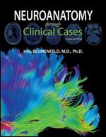 Neuroanatomy through Clinical Cases Ed 3
