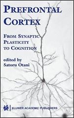 Prefrontal Cortex: From Synaptic Plasticity to Cognition