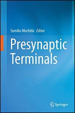 Presynaptic Terminals
