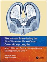 The Human Brain during the First Trimester 57- to 60-mm Crown-Rump Lengths: Atlas of Human Central Nervous System Development, Volume 7 (Atlas of Human Central Nervous System Development, 7)