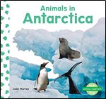 Animals in Antarctica (Animal Habitats)