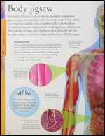 Human Body: A Visual Encyclopedia