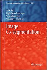Image Co-segmentation (Studies in Computational Intelligence, 1082)