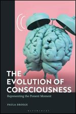 The Evolution of Consciousness: Representing the Present Moment