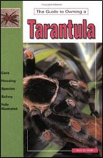 The Guide to Owning a Tarantula