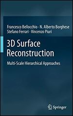 3D Surface Reconstruction: Multi-Scale Hierarchical Approaches.