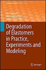 Degradation of Elastomers in Practice, Experiments and Modeling (Advances in Polymer Science, 289)