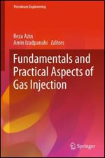 Fundamentals and Practical Aspects of Gas Injection (Petroleum Engineering)