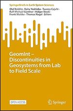 GeomInt Discontinuities in Geosystems From Lab to Field Scale (SpringerBriefs in Earth System Sciences)