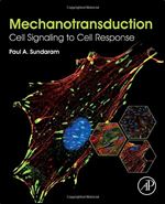 Mechanotransduction: Cell Signaling to Cell Response