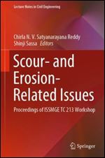 Scour- and Erosion-Related Issues: Proceedings of ISSMGE TC 213 Workshop (Lecture Notes in Civil Engineering, 177)