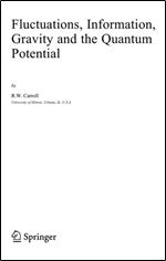 Fluctuations, Information, Gravity and the Quantum Potential (Fundamental Theories of Physics)
