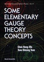 Some Elementary Gauge Theory Concepts (World Scientific Lecture Notes in Physics