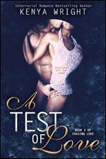 A Test of Love: Interracial Erotic Romance (Chasing Love)